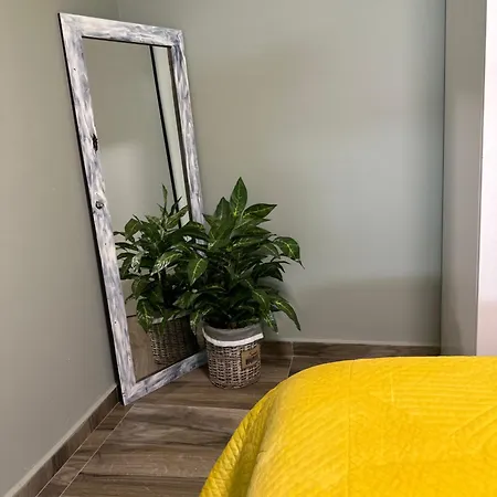 Cozy Tirana